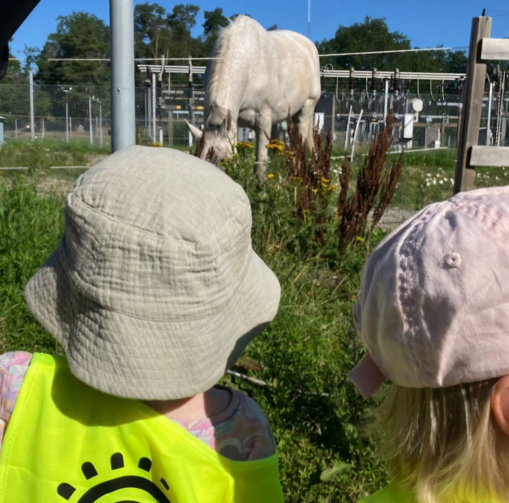 Två barn med hattar tittar på en vit häst som betar bakom ett staket en solig dag.