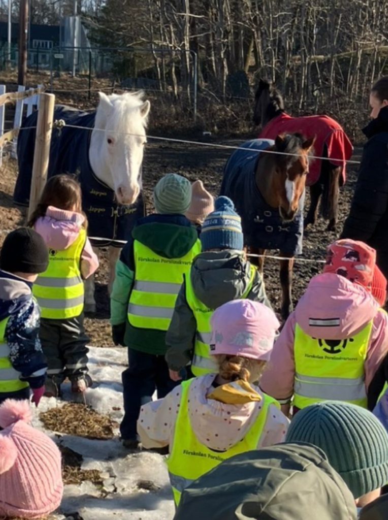 En grupp barn i reflexvästar står vid ett stängsel och tittar på hästar på en hage, omgiven av kala träd och snöfläckar på marken.