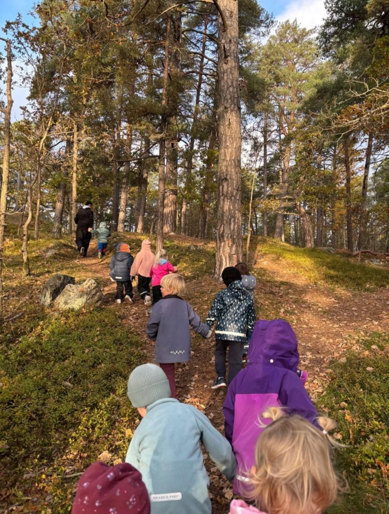 En grupp barn går på en stig genom en solig barrskog, håller varandra i händerna.