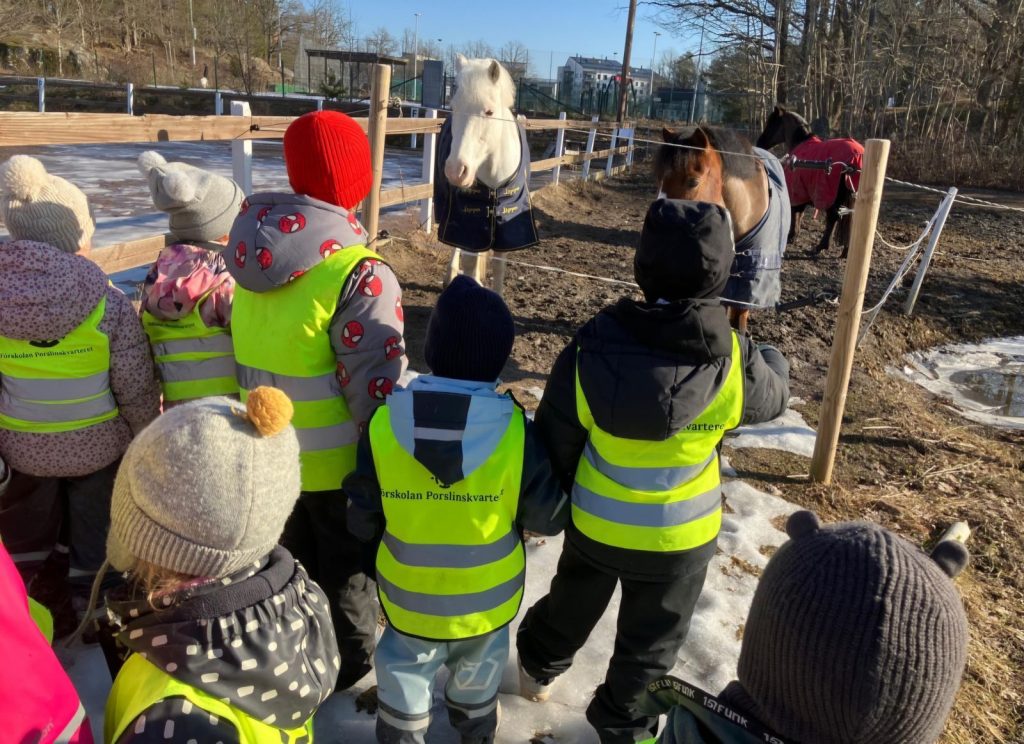 Grupp barn i gula reflexvästar med texten 'Förskolan Porslinskvarteret' tittar på hästar i en hage en solig vinterdag med snörester på marken.