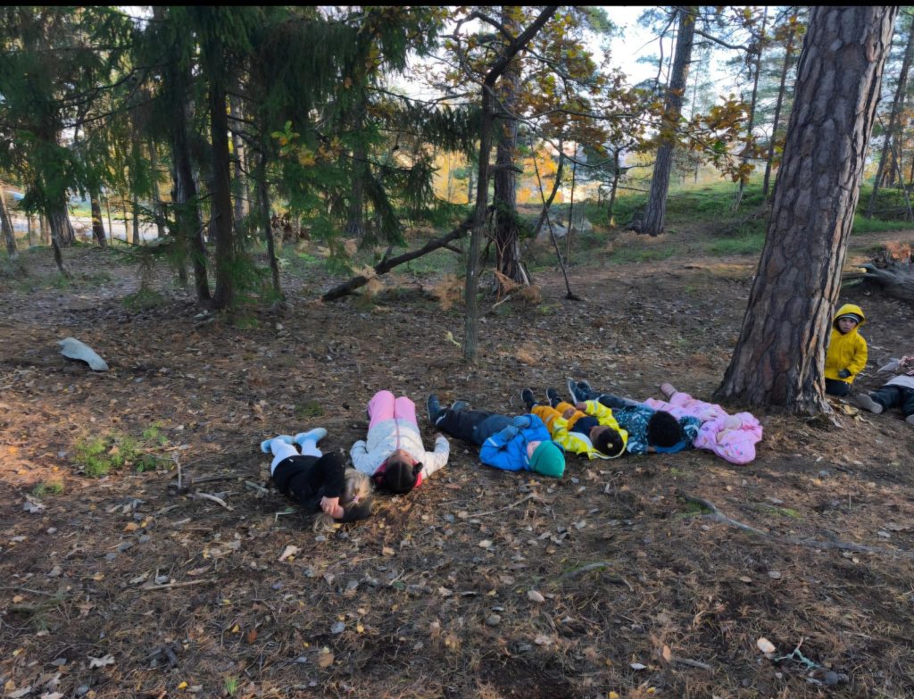 En grupp barn ligger på rygg bredvid varandra på marken i en skog, omgivna av barrträd och höstlöv.