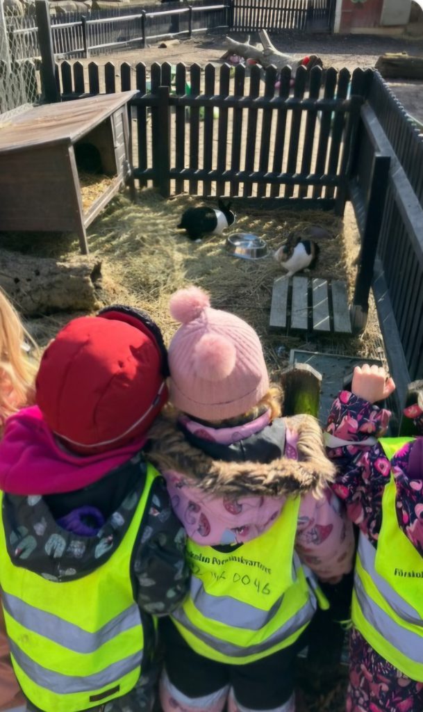 Barn i gula reflexvästar tittar på kaniner i en inhägnad med halm och ett litet trähus, en solig dag utomhus.
